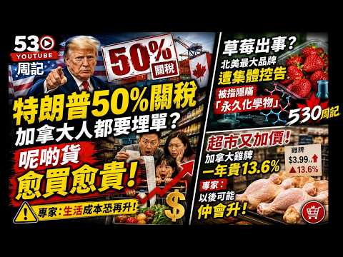 《530周記》加拿大雞髀一年貴13.6% 專家：以後可能仲會升 |  特朗普50%關稅 加拿大人都要埋單？ 專家：這些貨恐怕愈買愈貴  |  草莓出事？北美最大品牌遭集體控告　被指隱瞞「永久化學物」