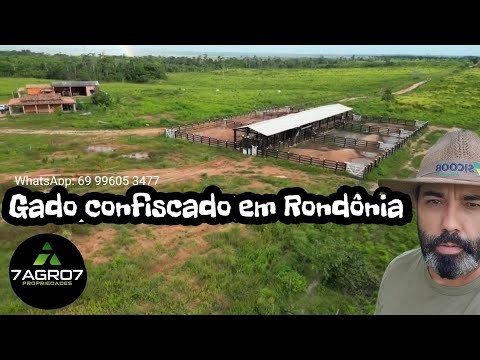 Gado confiscado em Nova Mamoré - Rondônia, farm for sale in Brasil