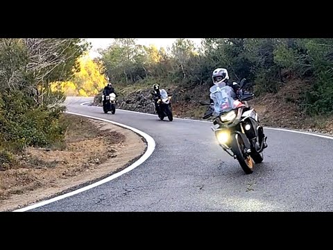 Sortida a Poblet