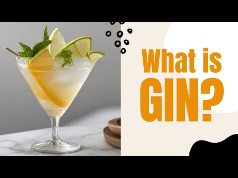 What is Gin? A Quick Guide