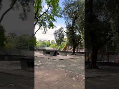 Me fascina realmente caminar por el parque General Paz del barrio de #saavedra #walking #shorts
