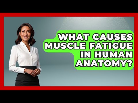 What Causes Muscle Fatigue In Human Anatomy? - All About Anatomy Answers