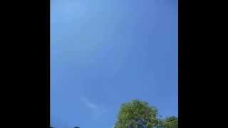 ! h@ns - this year's kisses / billie holiday