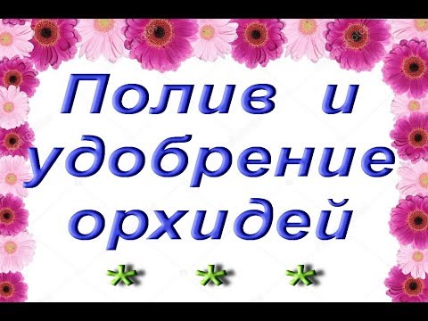 Выбор УДОБРЕНИЙ и ПОЛИВ ОРХИДЕЙ в разных субстратах