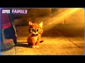 Puss In Boots Reveals His Past Puss In Boots 2011 Screen Bites Family
