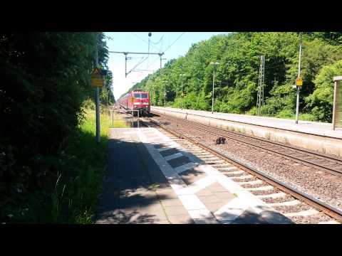 Hämelerwald | Einfahrt des RE60 nach Braunschweig Hbf
