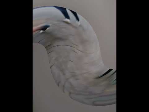 Instantanés de la ville de Marrakech🇲🇦🇲🇦