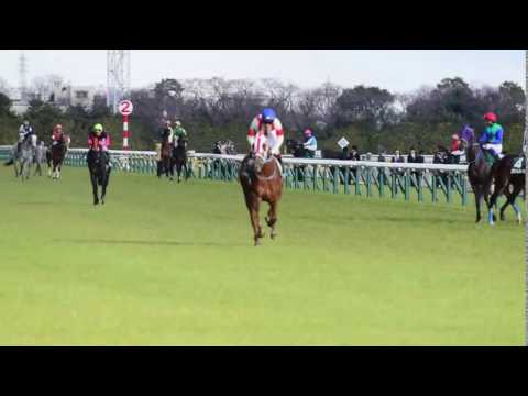 クイーンカップ 返し馬 レーヌミノル