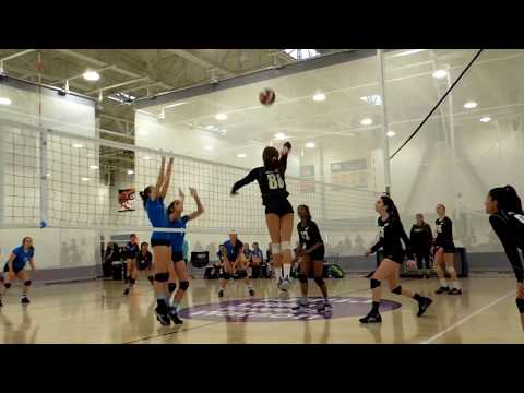 SB 15 White vs SS PV 15 Gold