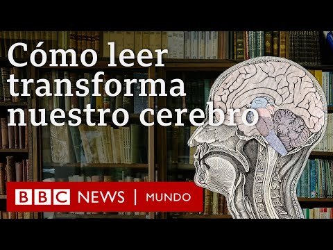 Pagar para leer sin móvil, estrés o distracciones: “Pensábamos que igual era una secta o algo friki, pero fue una pasada”