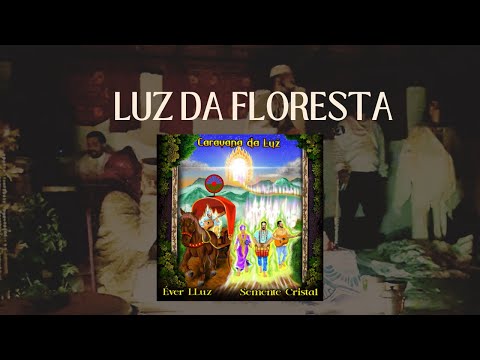 Luz Da Floresta - Semente Cristal