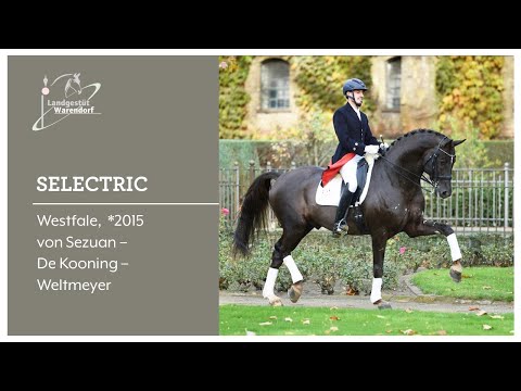 Selectric bei der Hengstschau 2023 in Wickrath