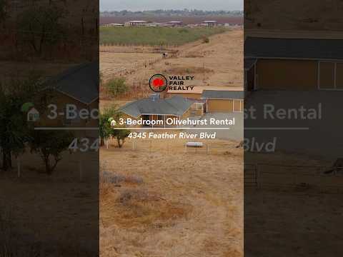 Remodeled 3-Bedroom Country Home on 7 acres property video