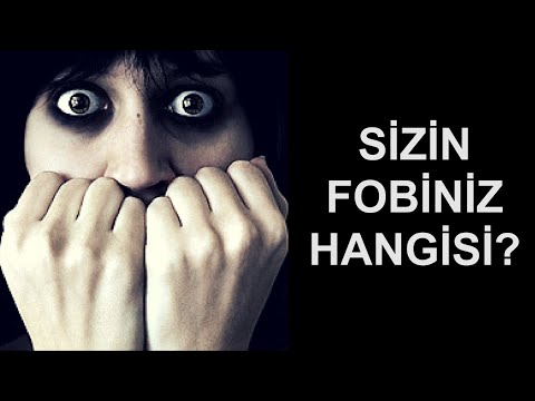 EN YAYGIN GÖRÜLEN 10 FOBİ