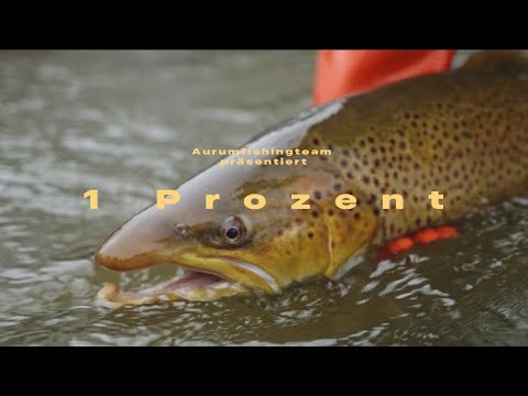 1 Prozent - Eine Dokumentation über die Aufzucht von Meerforelle und Lachs