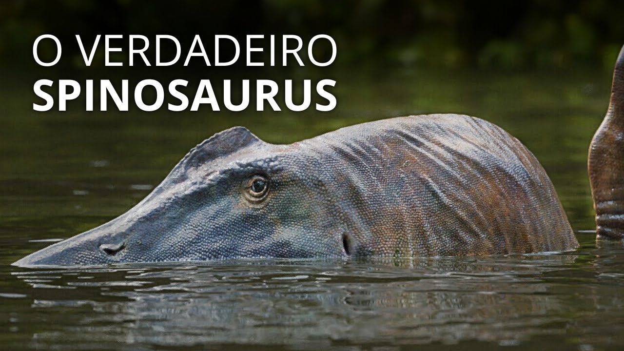 The life of Spinosaurus