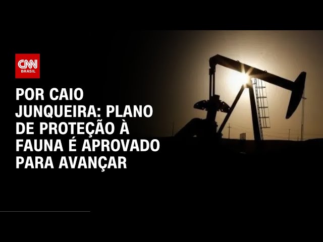 Análise: Ibama dá passo importante rumo à licença da Margem Equatorial | CNN PRIME TIME