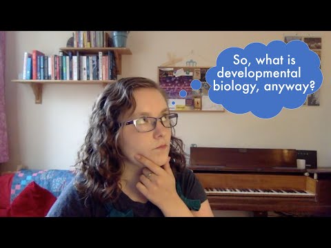 So, what is developmental biology anyway?