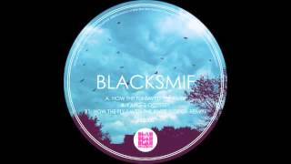 Blacksmif - How The Fly Saved The River / Kang's Odyssey - Blah Blah Blah Records