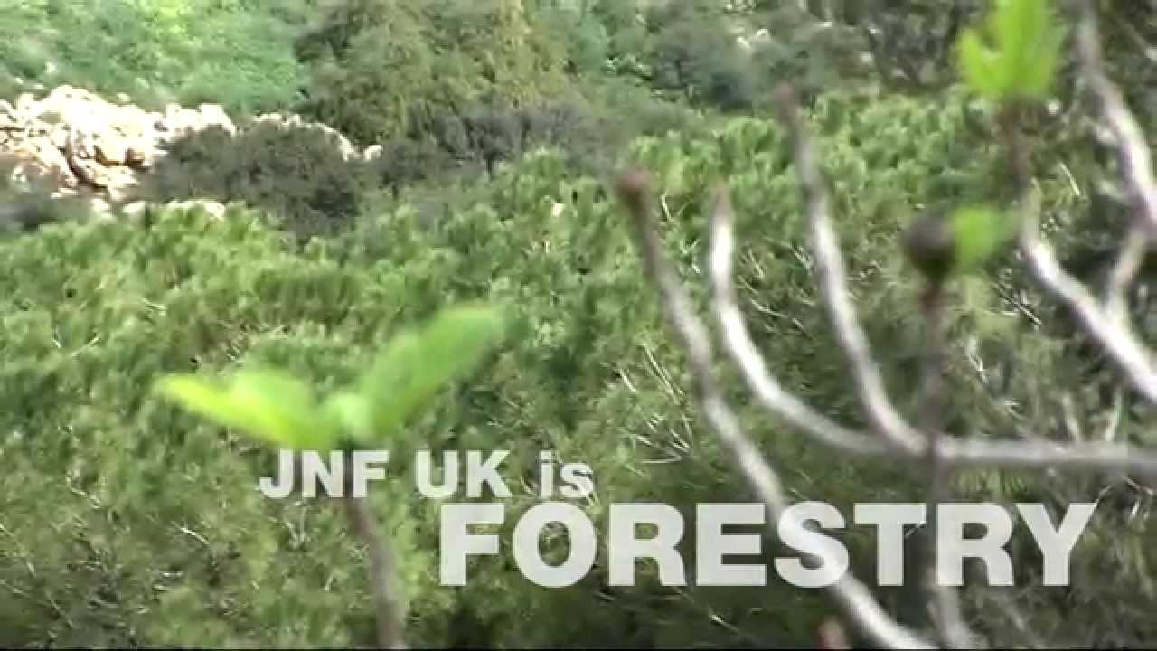 What is JNF UK?