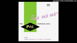 A2- 2 To The Power- The Flasher- 12'' Mix