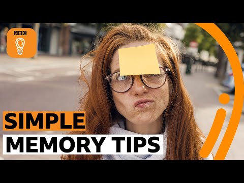 Three tips to improve your memory | BBC Ideas