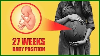 27 Weeks Pregnant Baby Position – Baby Moving and Size in the Womb
