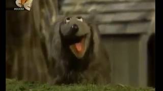 With A Little Yelp With My Friends Russian