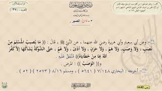 شرح رياض الصالحين ، الحديث 37 || د. ماهر ياسين الفحل image