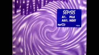 SEMSIS- Pile(1996)