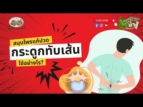 สมุนไพร แก้ปวดกระดูกทับเส้น l สมุนไพรน่ารู้ (2025)
