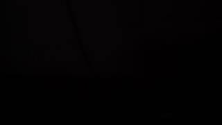 Swans raping a slave cover