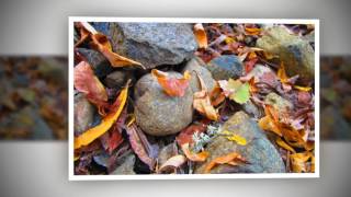 A MILLION REASON TO LOVE CHRIS REA -  BOOM BOOM HD mp4