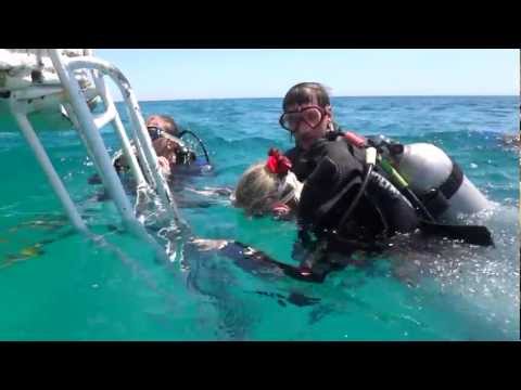 КРАСНОЕ МОРЕ