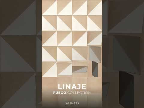 Imagen representativa video