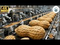 Inside A Planters Peanut Factory From Raw Groundnuts To Roasted Salted Snacks Full Process
