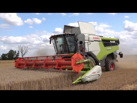 Getreideernte mit Claas Lexion 5400 in der Börde