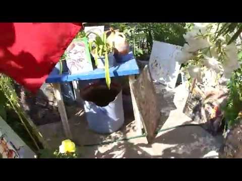 SIXTINA LUI MURIVALE - INSERŢII PORTRETE ARTISTI  - VIDEO