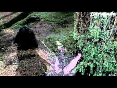 Beat Service feat. Emma Lock - Not Out2 (OFFICIAL VIDEO)