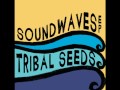 Kabiny Soundwaves On The Backseat