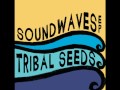 Kabiny Soundwaves On The Backseat
