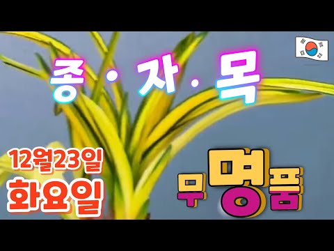 유튜브 썸네일