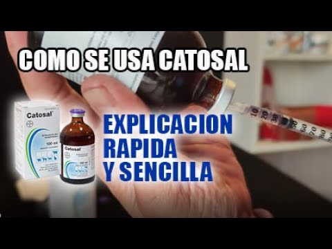 How to use catosal in roosters dosage #catosal #canaries #birds #hens #roosters