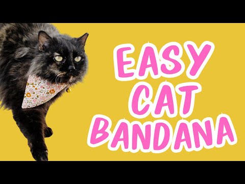 The Ultimate Beginners Sewing Project - Easy Cat Bandana Pattern | Sewing for Beginners