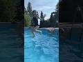Part 2 Of Building The Biggest Pool Ever Shorts Sacconejolys