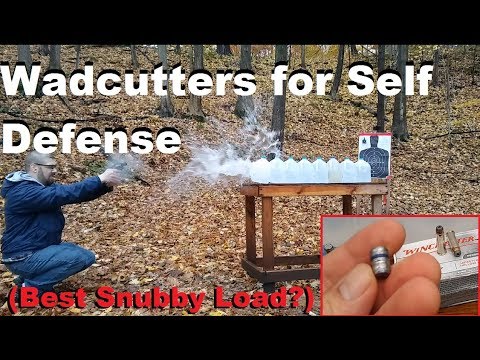 Wadcutters (Best Snubby Load?)