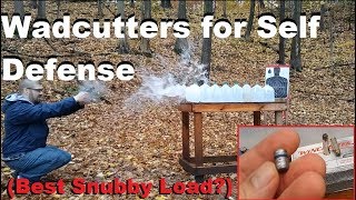 Wadcutters (Best Snubby Load?)