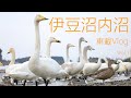 channel