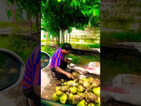 Hardworking Man's coconut 🥥 cutting skill#shorts #nitika a versatile World