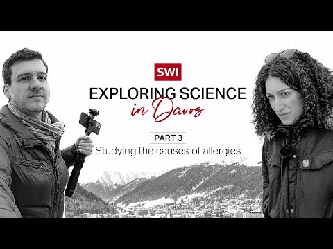 Why house dust mites, pollen and food additives cause allergies